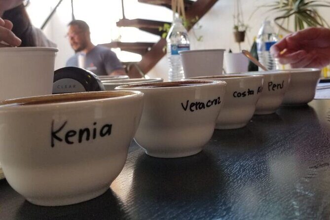 Tijuana Mexico Coffee Shop Hop from San Diego - Who Will Appreciate This Tour?