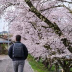 Timeless Takayama: Private Walk Through History & Beauty - Detailed Tour Breakdown