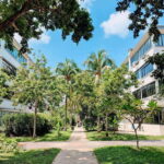 Tiong Bahru: Stories & Snacks in Singapore's Oldest Estate - An In-Depth Look at the Tiong Bahru Experience