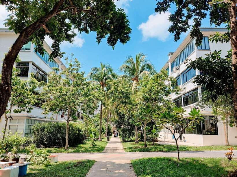 Tiong Bahru: Stories & Snacks in Singapore's Oldest Estate - An In-Depth Look at the Tiong Bahru Experience