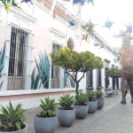 Tlaquepaque Magic Town: Artisans, Traditions, Architecture - Discovering Tlaquepaque: A Vibrant Cultural Hub