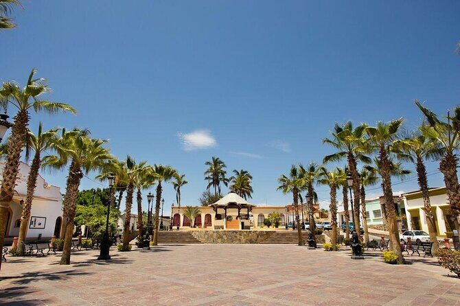 Todos Santos Private 6 hrs 1-08 paxs - What Travelers Say: Genuine Perspectives