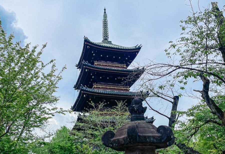 Tokio A: Tour de la ciudad en Español - Spanish - The Practical Side: What You Should Know