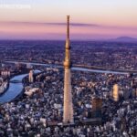 Tokyo: 1 Day Bus Tour with Meiji-Jingu,Odaiba,lunch&Skytree - Who Should Consider This Tour?