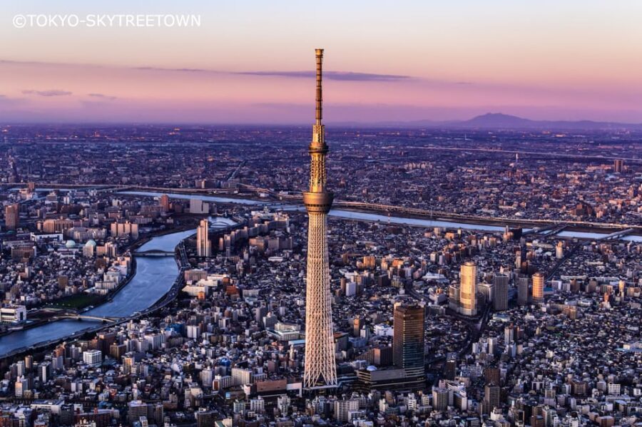 Tokyo: 1 Day Bus Tour with Meiji-Jingu,Odaiba,lunch&Skytree - Who Should Consider This Tour?