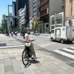 Tokyo: 3-hour Guided E-Bike Tour of the City's Hidden Gems - A Deep Dive into the Tokyo E-Bike Tour
