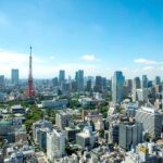 Tokyo Airport Transfers: Tokyo-Narita Airport NRT to Tokyo City in Business Car - Who This Is Best For