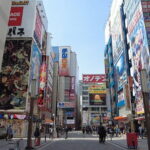 Tokyo Akihabara Anime Manga Video Games and Hidden Gems Tour - Exploring Radio Kaikan: The Heart of Otaku Shopping