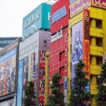Tokyo: Akihabara Game Tour with Gachapon & Princess Café - Who Will Love This Tour?