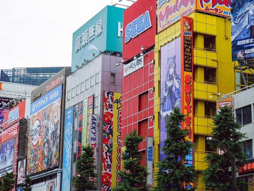 Tokyo: Akihabara Game Tour with Gachapon & Princess Café - Who Will Love This Tour?