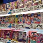 Tokyo: Akihabara Private Hentai Tour - A Close Look at the Tour Experience
