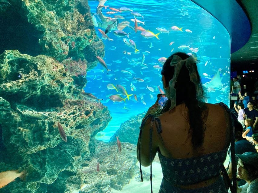 Tokyo : Aquarium Backyard Tour and Tokyo View Observatory - A Closer Look at the Experience