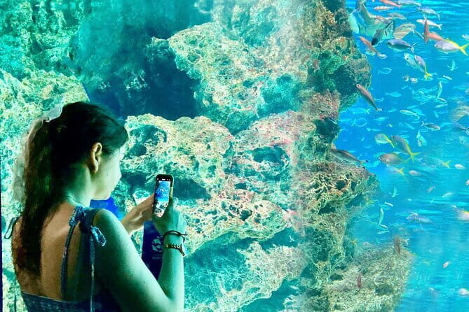 Tokyo, Aquarium Backyard Tour and View Observatory in Ikebukuro - FAQ