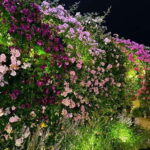 Tokyo: Ashikaga Flower Park with Entry Ticket - FAQ