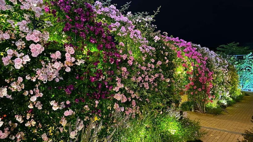 Tokyo: Ashikaga Flower Park with Entry Ticket - FAQ