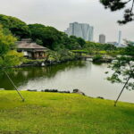 Tokyo Bay and Tsukiji Fish Market - Who Will Love This Tour?
