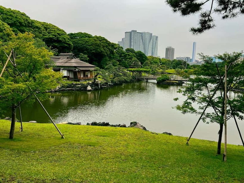 Tokyo Bay and Tsukiji Fish Market - Who Will Love This Tour?