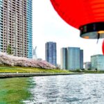 Tokyo Bay Yakatabune Cruise with Traditional JapaneseShow Drinks - The Experience in Detail