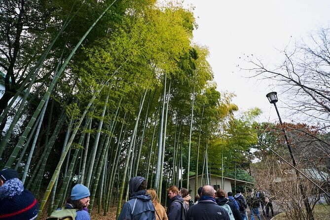 Tokyo Castle & Imperial Palace , Historical Walking Tour - A Closer Look at the Itinerary