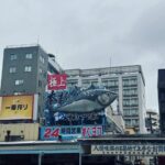 Tokyo city day tour with englisg speaking driver. - A Deep Dive into the Tokyo City Day Tour Experience