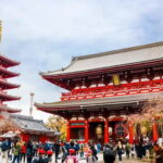 Tokyo City of Lights Private Tour Sightseeing Tour Private - A Close Look at the Itinerary and Highlights