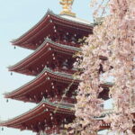 Tokyo City Private Tour With Hotel Pickup - What the Tour Includes and What to Consider