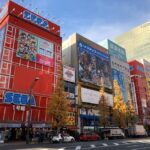 Tokyo: Customized Private Tour with a Local Guide - Who Will Love This Tour?