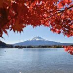 Tokyo: Day Trip Mount Fuji /Lake Kawaguchi (Private tour) - Key Points