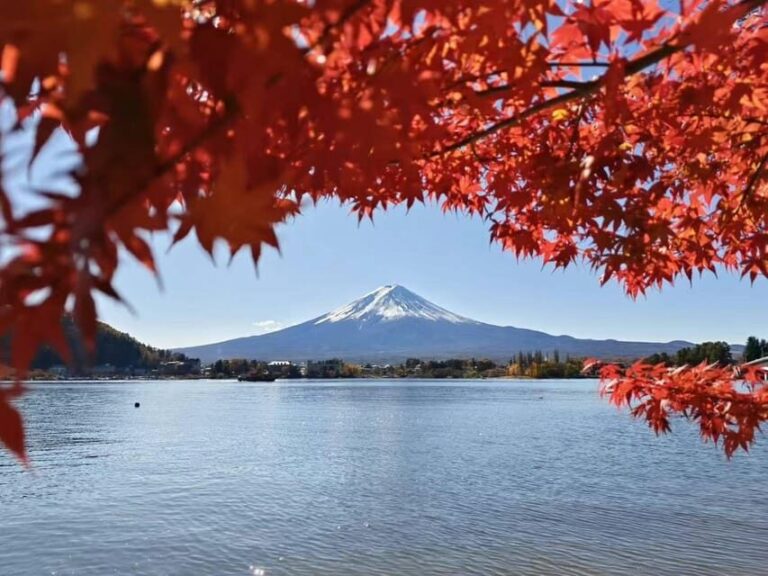 Tokyo: Day Trip Mount Fuji /Lake Kawaguchi (Private tour) - Key Points