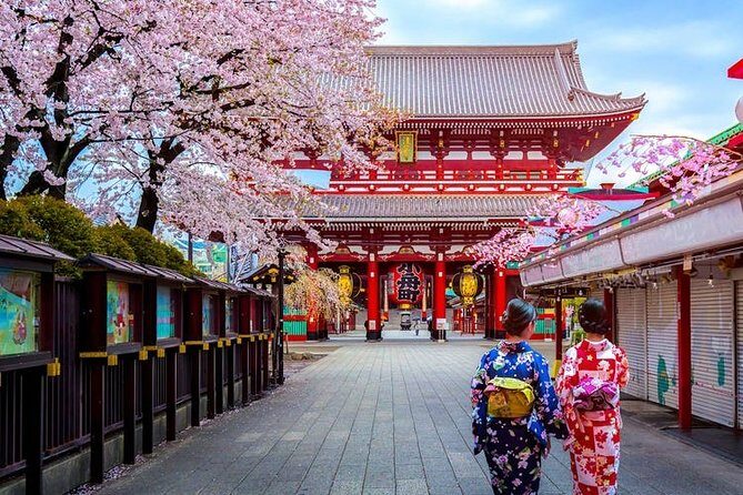 Tokyo Departure Private Transfers from Tokyo City to Tokyo-Narita Airport NRT - The Sum Up: Is This Transfer Right for You?