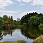 Tokyo Discovery: Custom Tours, Culture & City Views - A Detailed Look at the Tokyo Discovery Tour