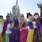 Tokyo Disney Resort Park E-Tickets with Optional Tokyo Metro Pass - Transport and Logistics