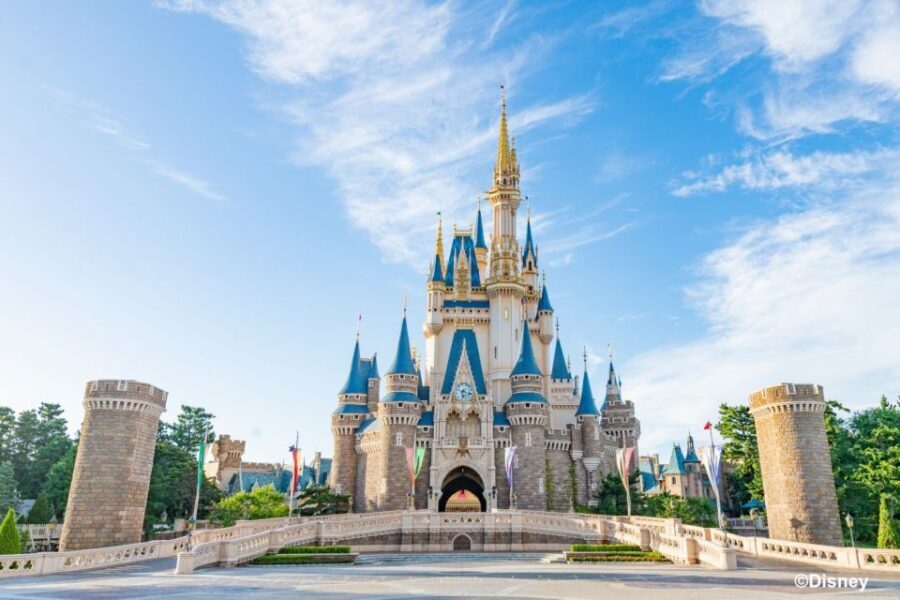 Tokyo Disneyland 1-Day Passport - Who Will Love This Experience?