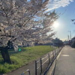 Tokyo: Explore the Authentic Life of a Residential Neighborhood - What Makes This Tour Stand Out?