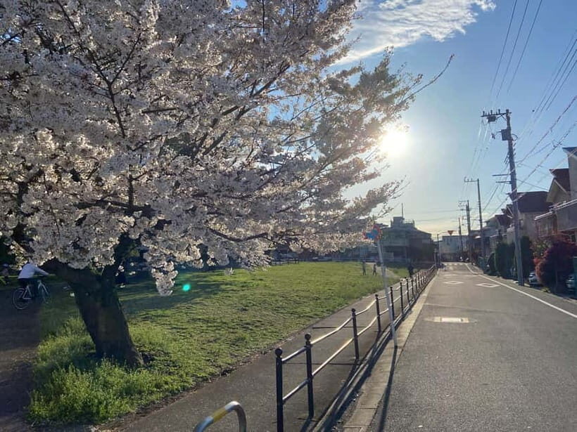 Tokyo: Explore the Authentic Life of a Residential Neighborhood - What Makes This Tour Stand Out?
