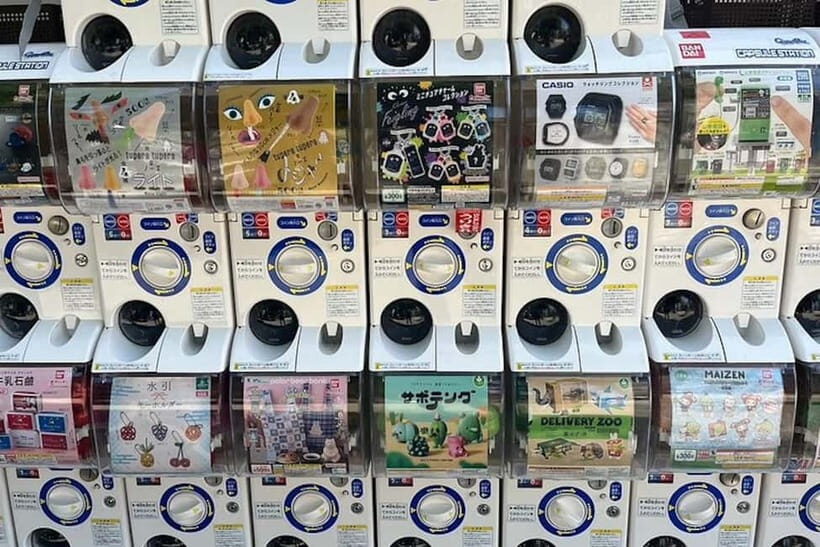 Tokyo: Exploring Anime & Electronics Tour in Akihabara - A Closer Look at the Experience