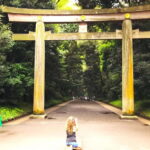 Tokyo: Full Course Tour: Explore 15 Must-Sees & Hidden Gems - Why This Tour Works for You