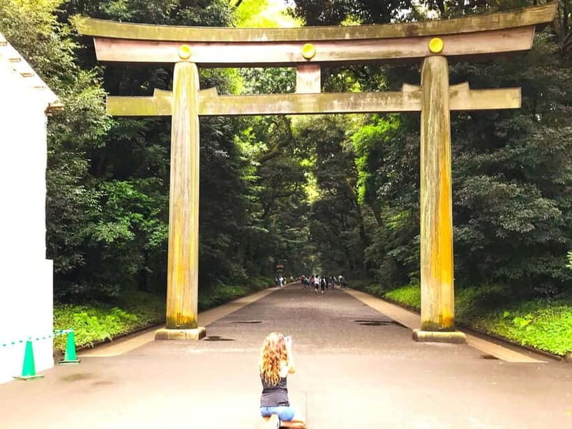 Tokyo: Full Course Tour: Explore 15 Must-Sees & Hidden Gems - Why This Tour Works for You