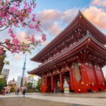 Tokyo Full Day Customize Private City Tour - A Deep Dive into the Tokyo Private Tour