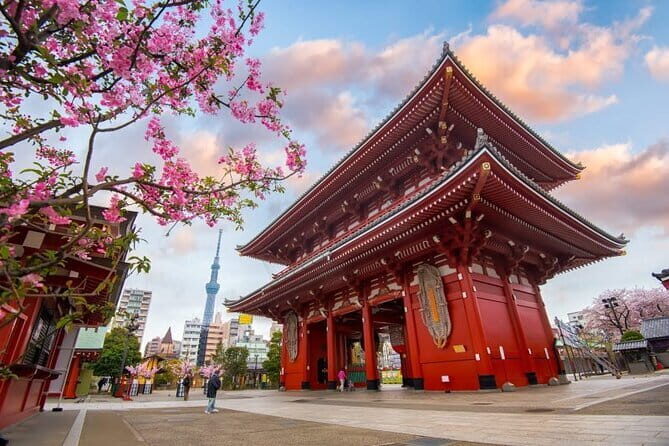 Tokyo Full Day Customize Private City Tour - A Deep Dive into the Tokyo Private Tour
