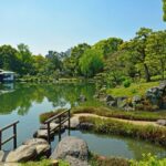 Tokyo: Full-Day Japanese Garden Private Guided Tour - What to Expect: A Detailed Breakdown of the Itinerary