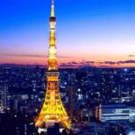 Tokyo Full-Day Private Customizable Tour With English Driver - Why This Tour Offers Great Value