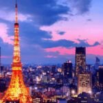 Tokyo Full day Private Customized Tour with English Driver - Final Thoughts: Is It Worth It?