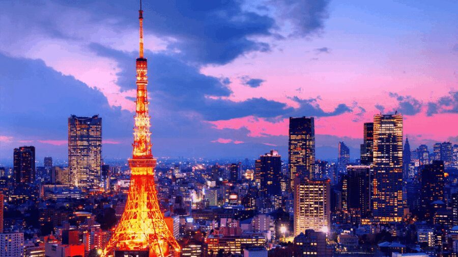 Tokyo Full day Private Customized Tour with English Driver - Final Thoughts: Is It Worth It?