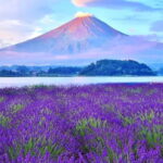 Tokyo: Full-Day Tour of the Six Majestic Spots of Mt Fuji - Who Should Take This Tour?