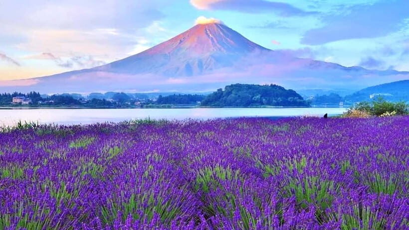 Tokyo: Full-Day Tour of the Six Majestic Spots of Mt Fuji - Who Should Take This Tour?