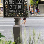 Tokyo : Ginza Deep Back Alley Walking Tour - Why This Tour is Worth Considering