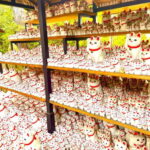 Tokyo: Gotokuji Cat Temple, Shinjuku Cat Cafe & 3D Cat Tour - A Closer Look at the Tour Itself