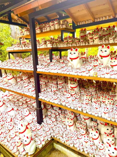 Tokyo: Gotokuji Cat Temple, Shinjuku Cat Cafe & 3D Cat Tour - A Closer Look at the Tour Itself