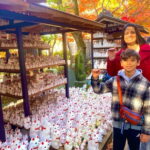 Tokyo: Gotokuji Lucky Cat Temple & Harajuku Shibuya Cat Café - An In-Depth Look at the Feline-Filled Tour in Tokyo